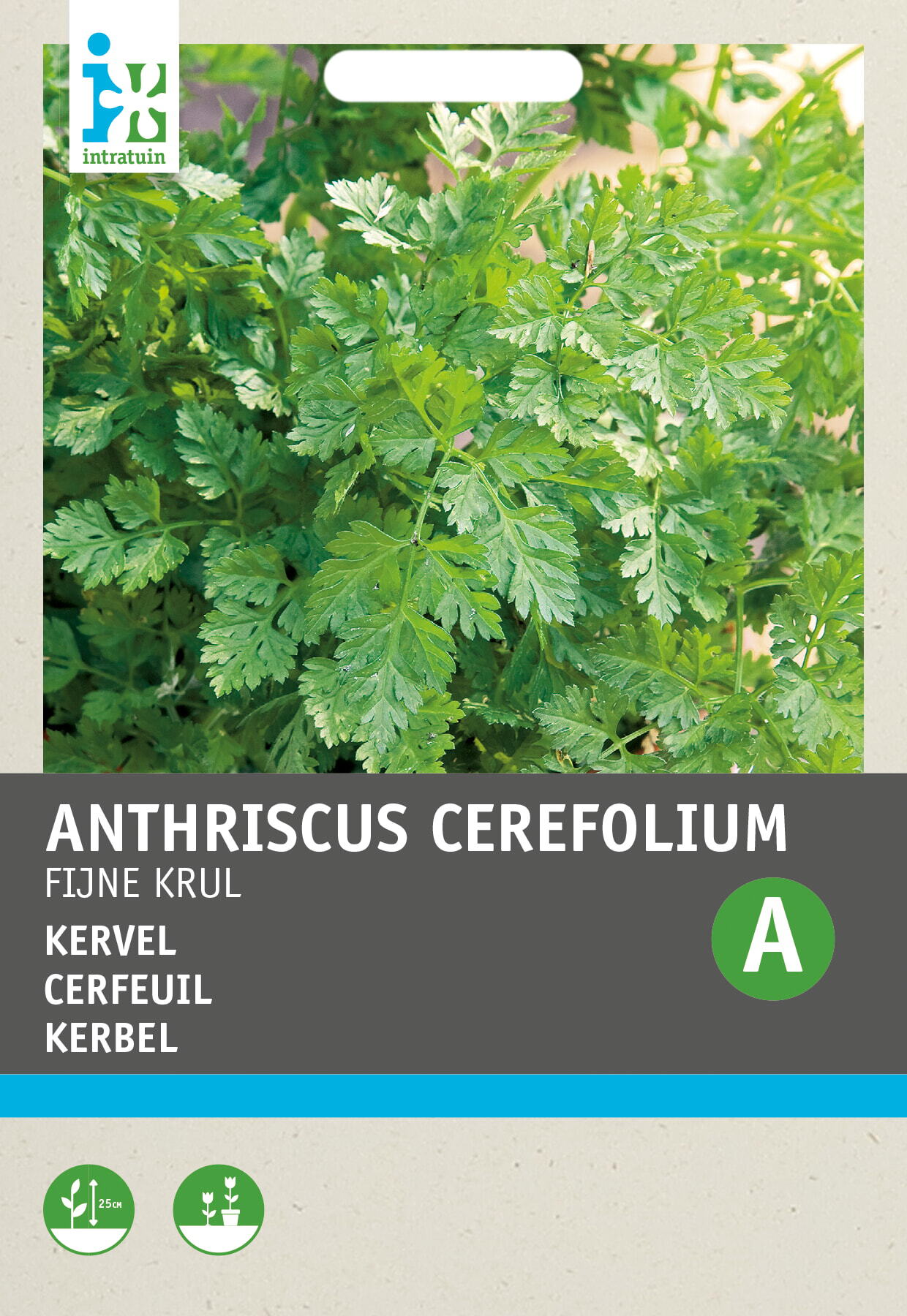 Intratuin kruidenzaad Kervel fijn gekruld (Anthriscus cerfolium)