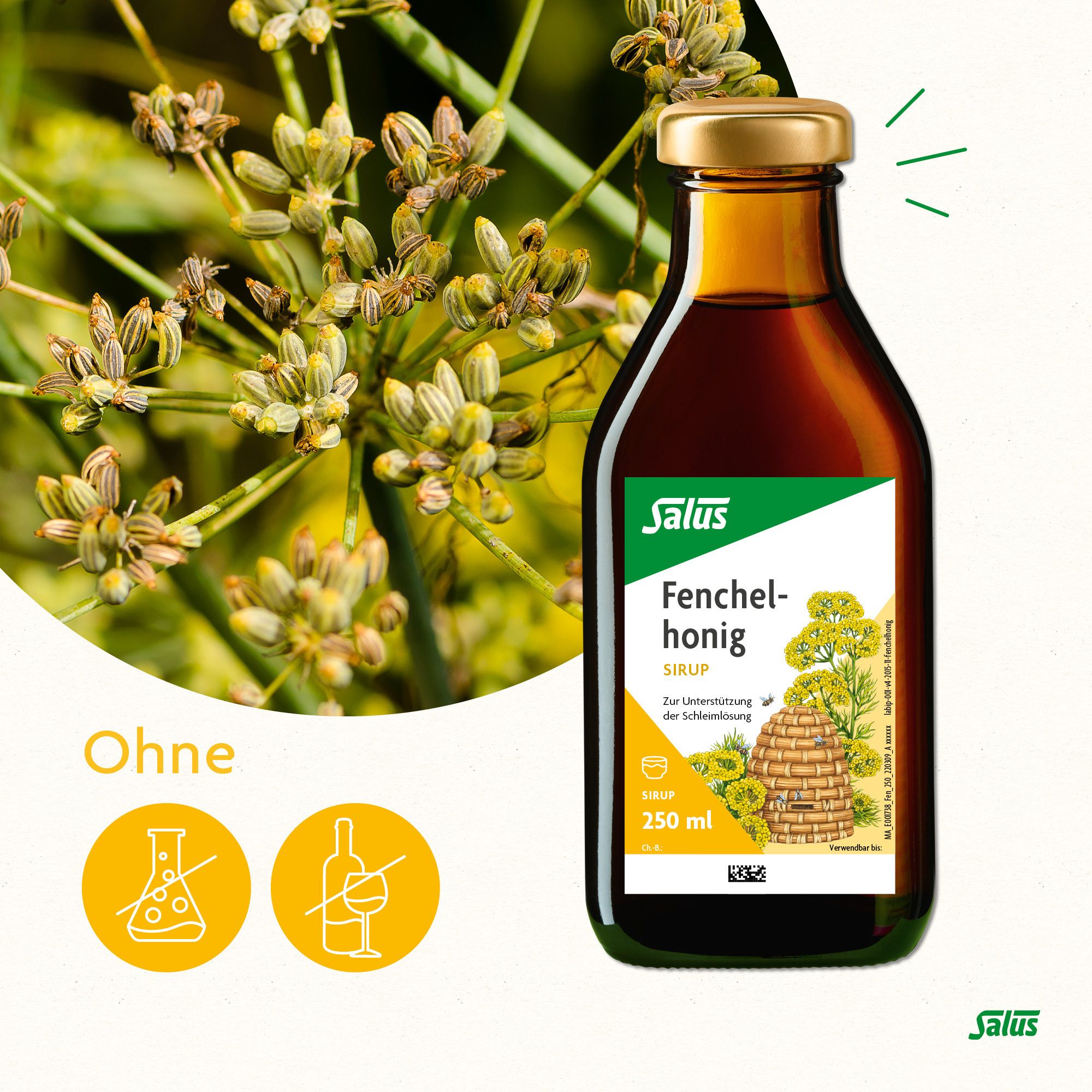 Salus® Fenchelhonig