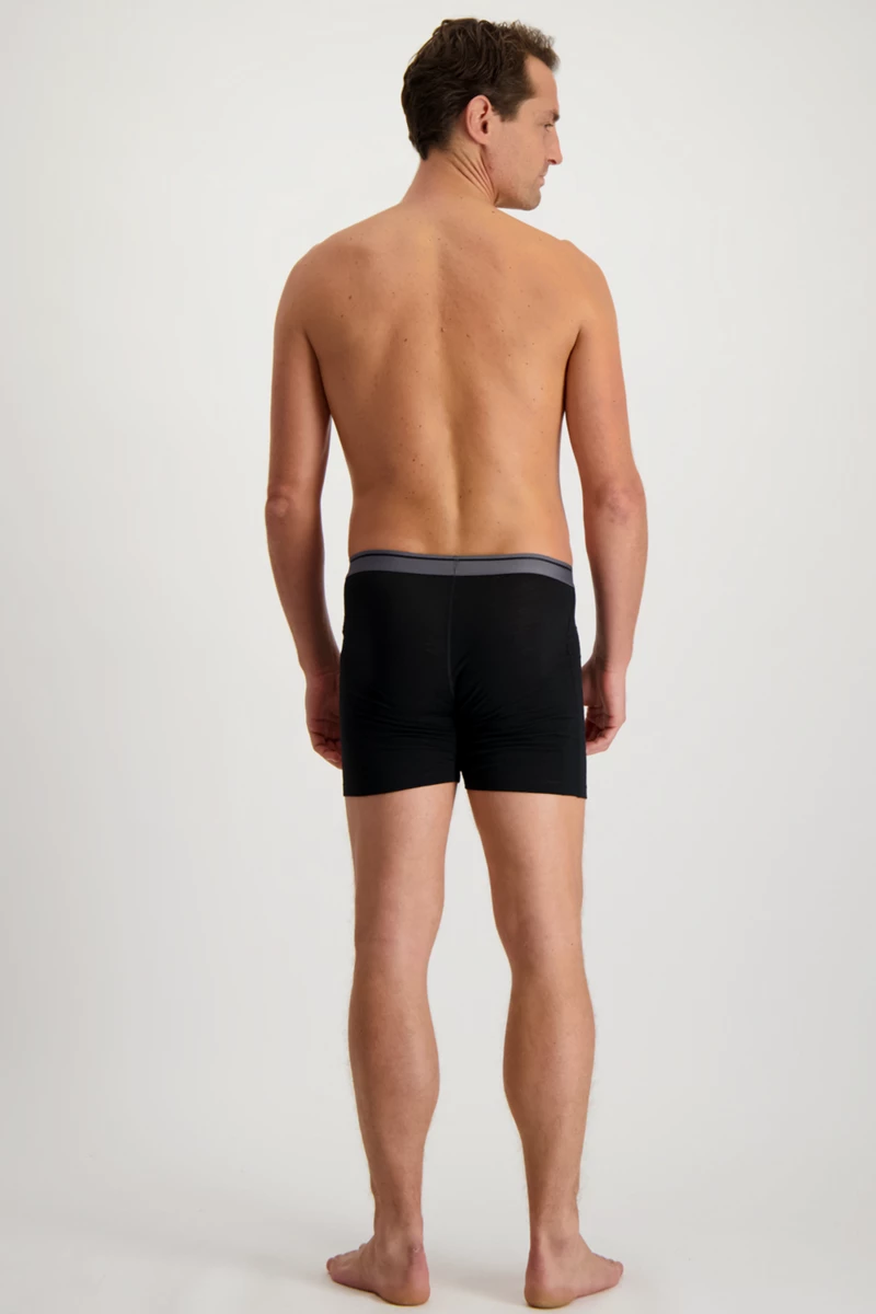 icebreaker Merino 150 Anatomica Herren Boxershort