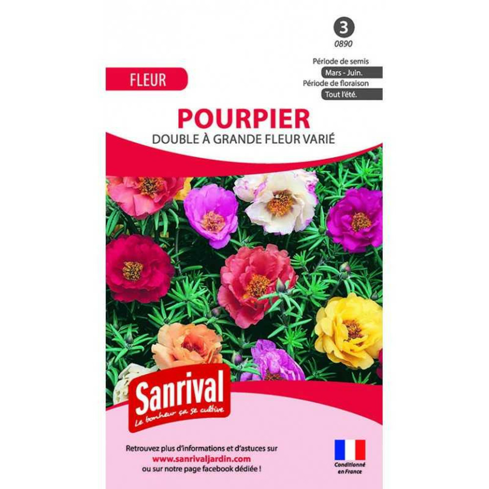 Graines de pourpiers doubles