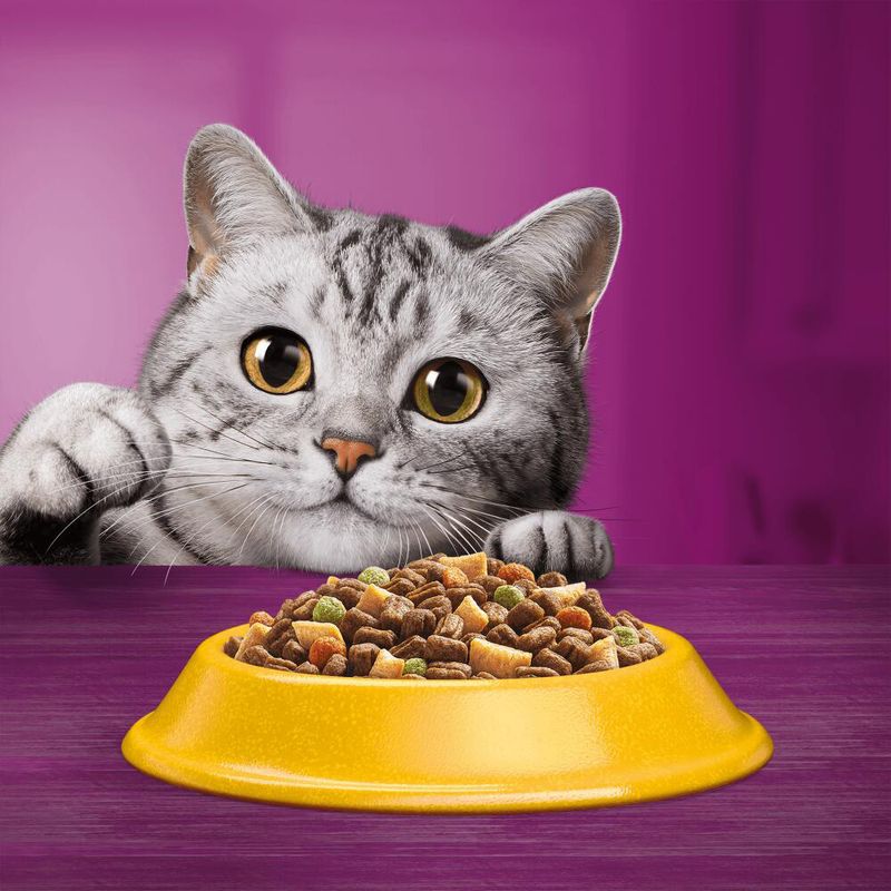 Whiskas 1+ Adult, poulet