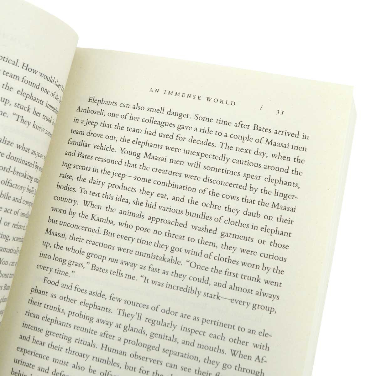 An Immense World (Paperback)