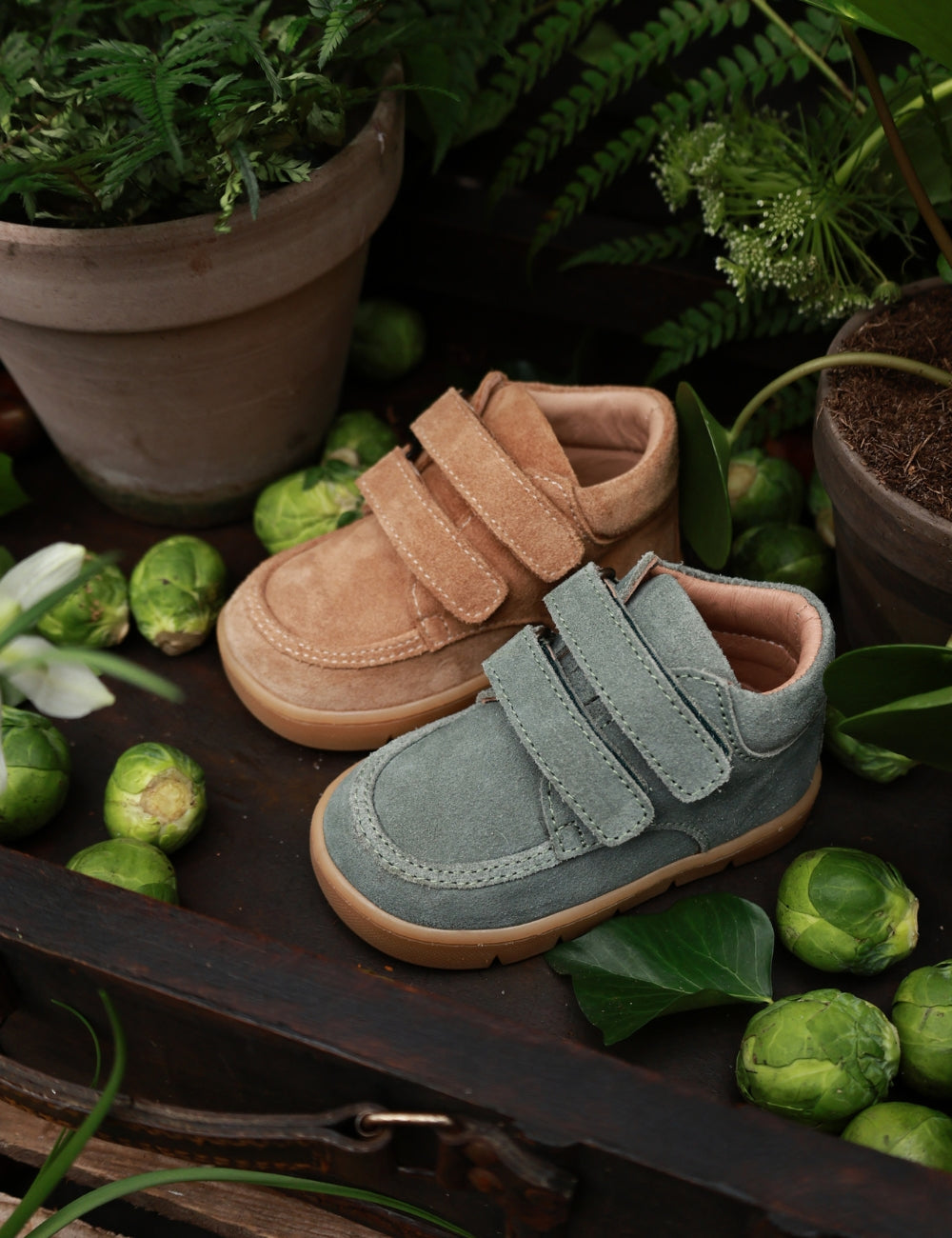 Chubby Cruiser velcro - Dove Suede