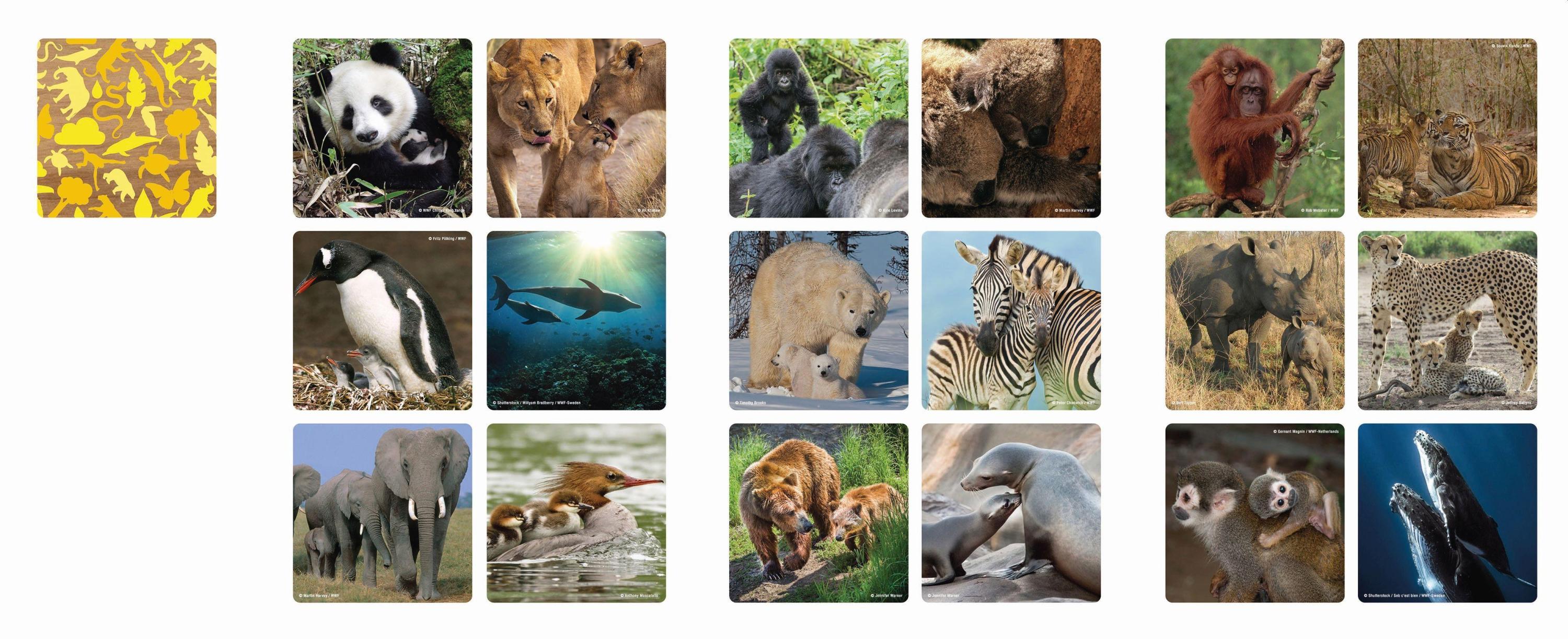 WWF - Memo Tierfamilien (Spiel)