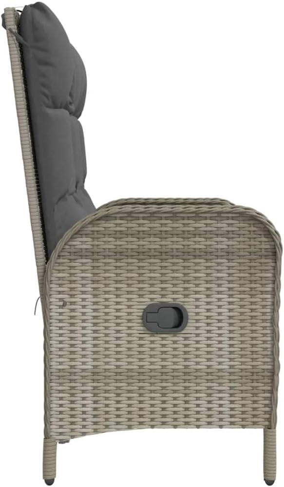 vidaXL Gartenbank, Sitzbank mit Liegefunktion Kissen, Parkbank Verstellbare Rückenlehne Stahlrahmen, Gartenmöbel Bank, 107cm Poly Rattan Grau