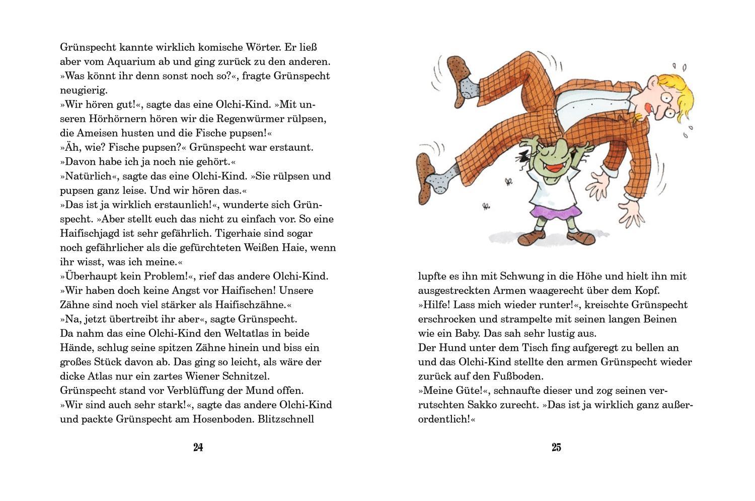 Die Olchis und der karierte Tigerhai / Die Olchis-Kinderroman Bd.3