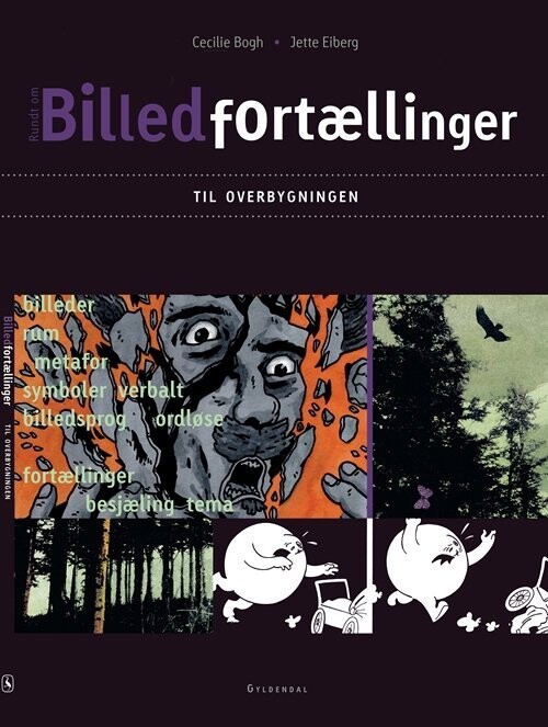 Billedfortællinger Til Overbygningen - Cecilie Bogh - Bog