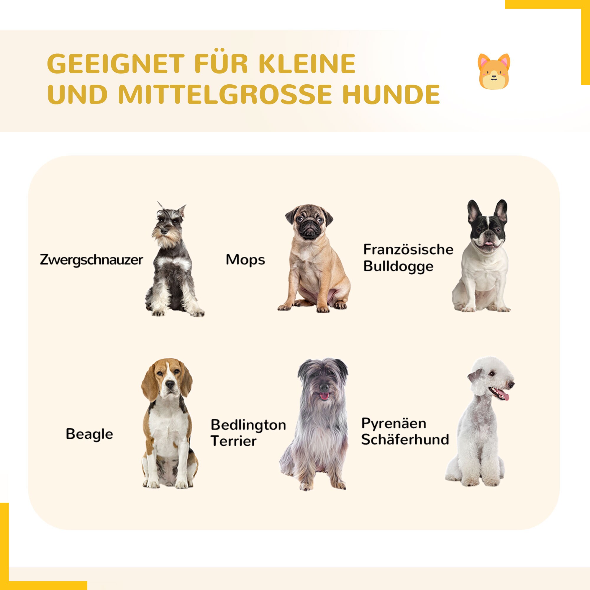 PawHut Freigehege mit zwei Türen grau 320L x 320B x 100H cm