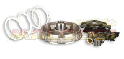 Variateur Malossi Multivar 2000