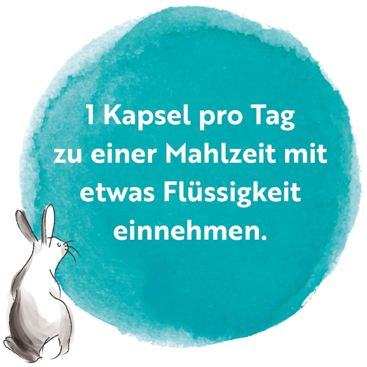 Viridian NutritionViridian Nutrition   Schwangerschaft und Stillzeit PROBIO 60 Stück