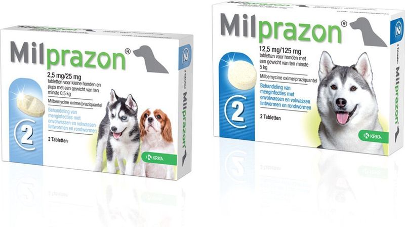 Milprazon Ontworming Hond 4 tabletten