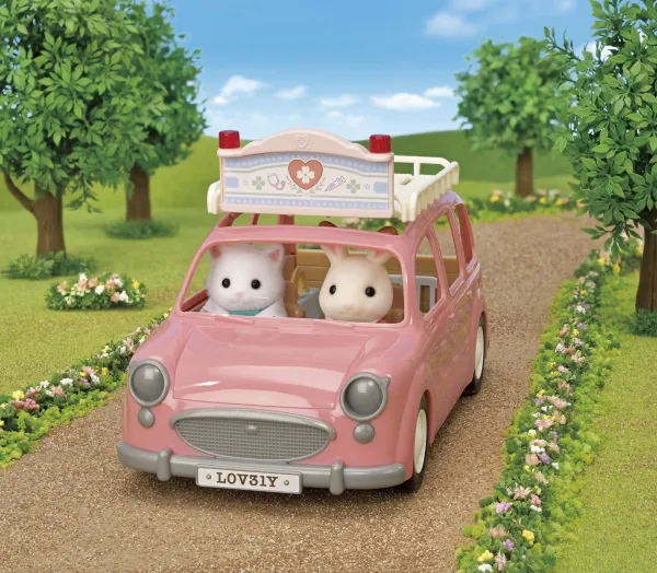 Sylvanian Families Village Doctor Starter Set