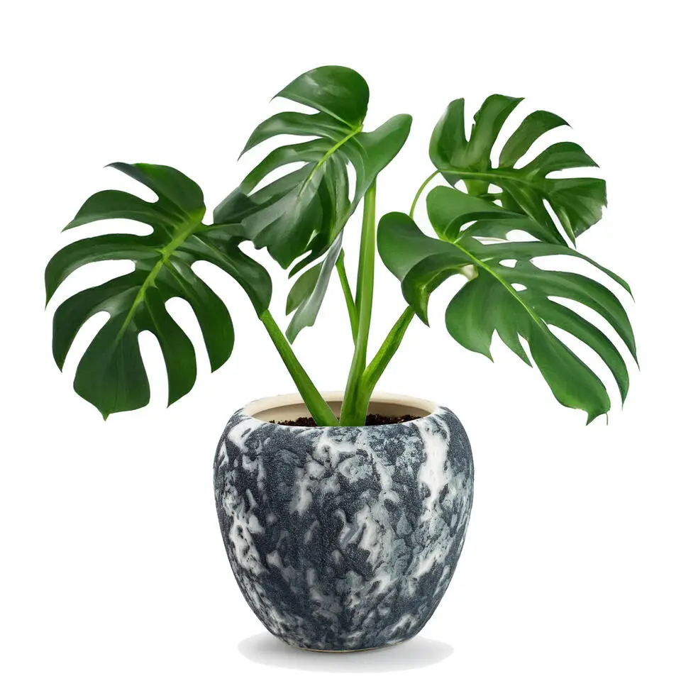 Jodeco Plantenpot Marble - wit/zwart - keramiek - 24x22 cm