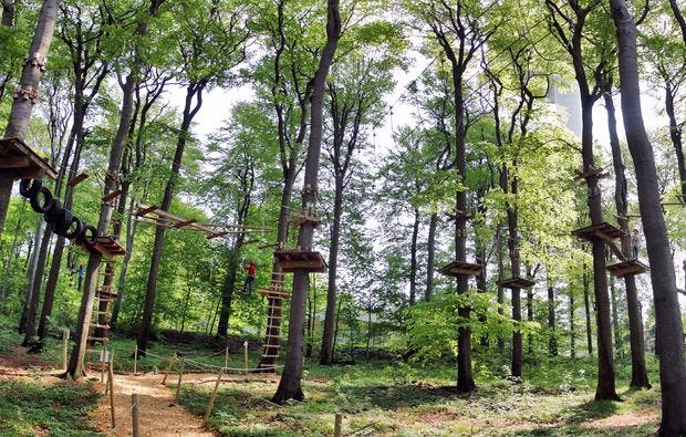 Hochseilgarten in Gießen als Geschenkidee