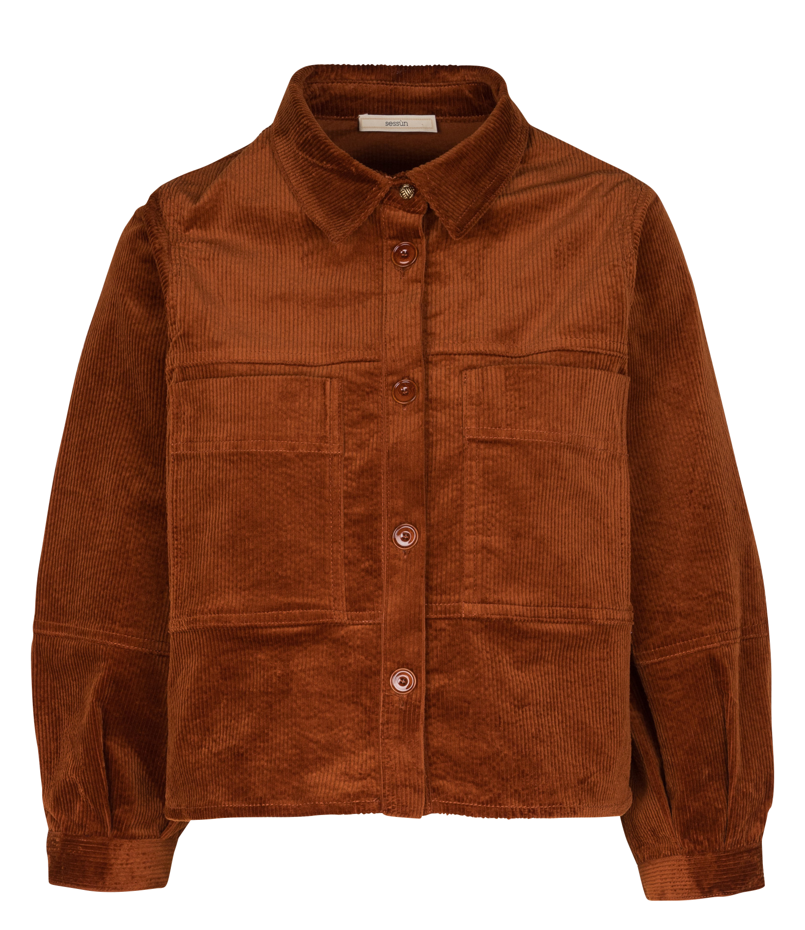 LEONE - Veste col classique en coton mélangé | Marron