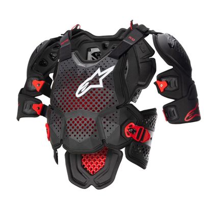 Pare pierre Alpinestars A-10 V2 2023 - Gris / Noir