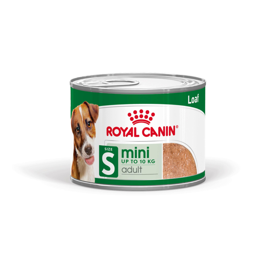 Patê Royal Canin Mini Adult em lata para cães