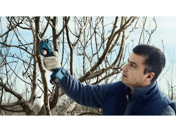 Bosch BOSCH.SEKATOR 12V 25mm PRO PRUNER SOLO B06019K1020 - SOLO