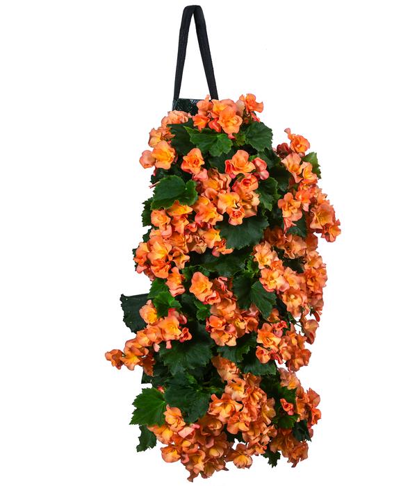 Wandhänger mit Hängebegonien, verschiedene