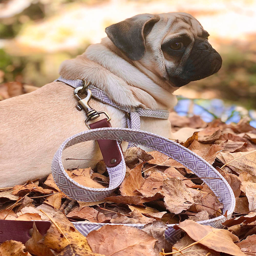 Guia de cortiça artesanal Barking Gaucho para cães