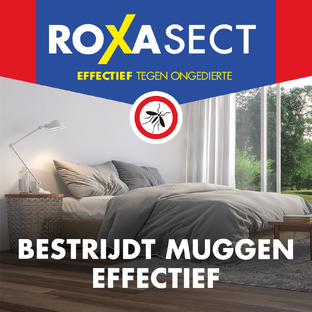 Roxasect Anti-Mug Bundel - Anti-Mug Muggenstekker Voordeelpak en 2 Navulverpakkingen - 3 Stuks