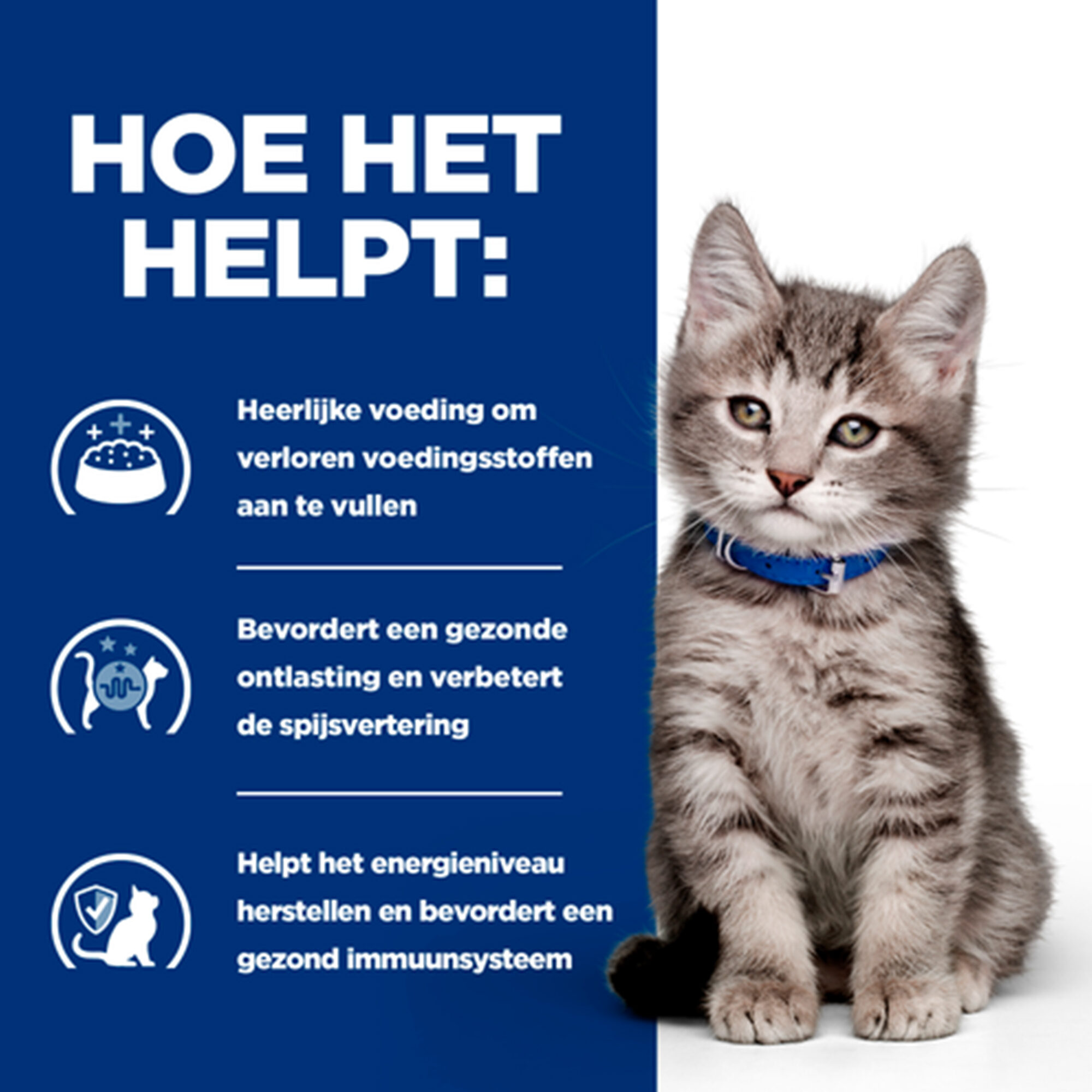Hill's i/d Digestive Care - Prescription Diet - Kitten