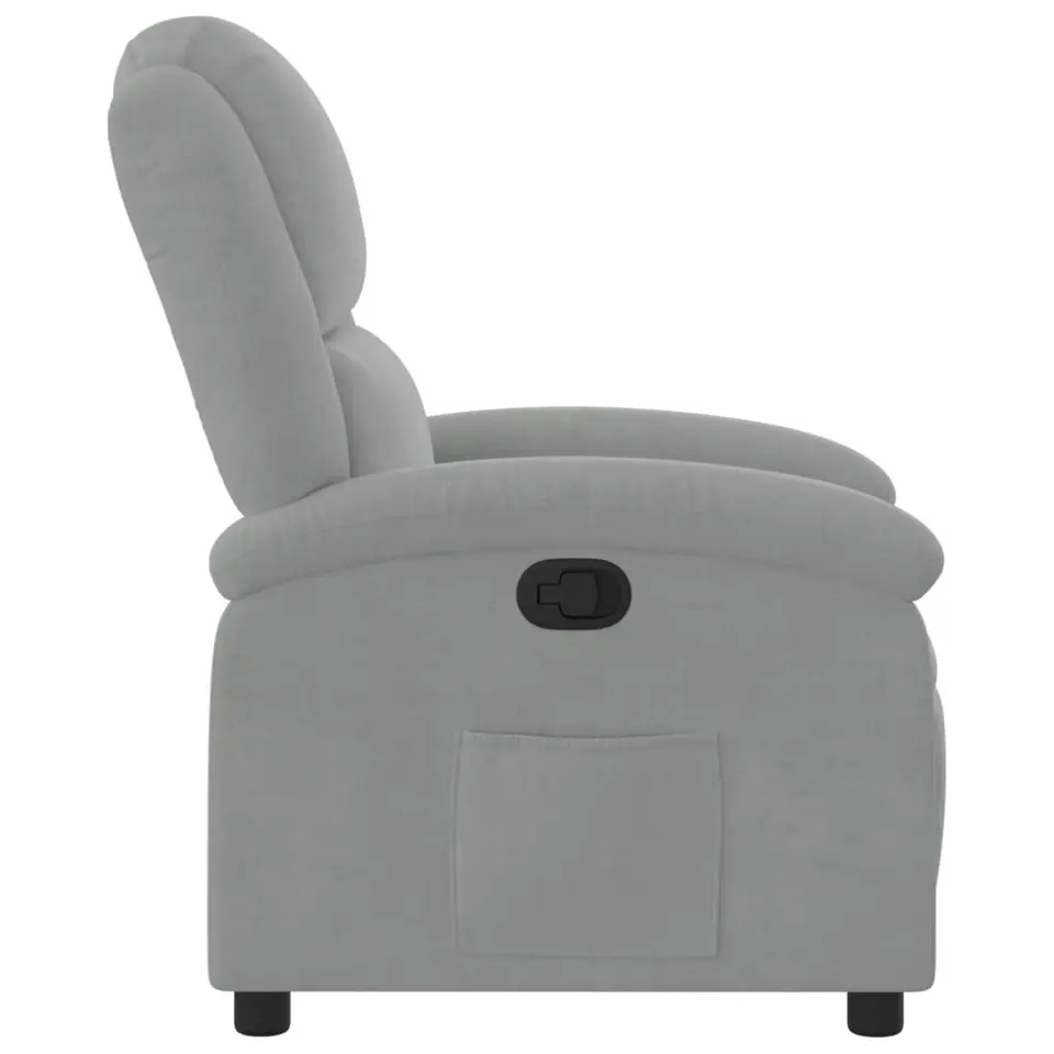 vidaXL - Fauteuil - Grijs - Fluweel