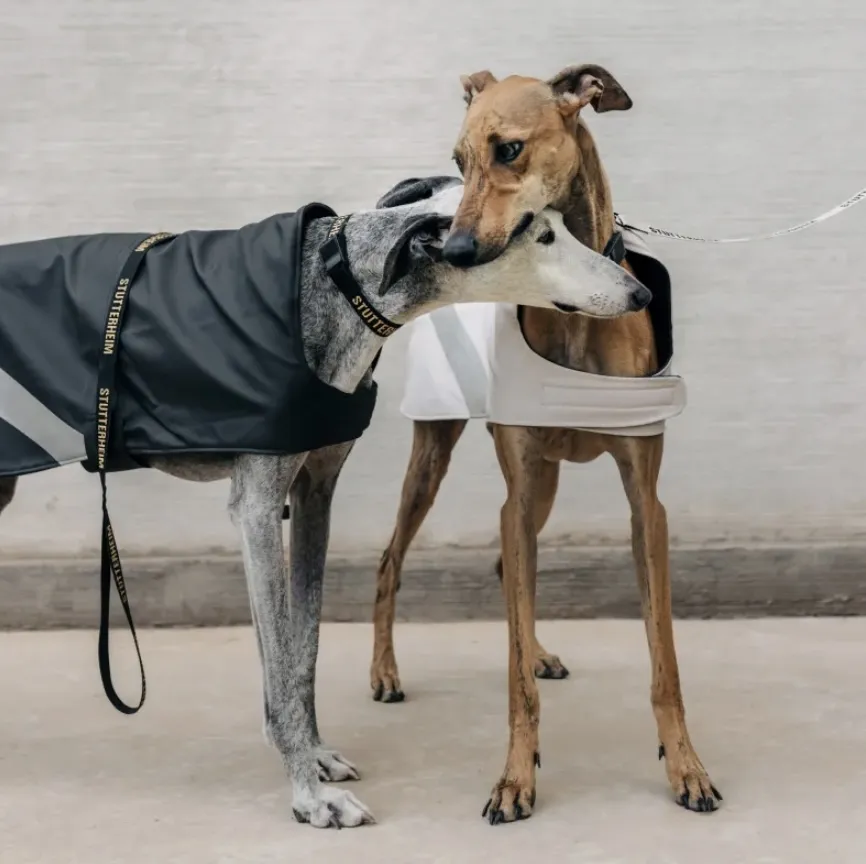 Imperméable pour chien 380g Stutterheim