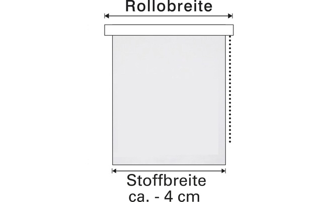 GARDINIA Rollo »Lichtdurchlässig 80 x 160 cm«