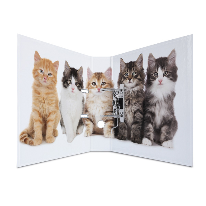 Ordner DIN A4 - Herma -  Katzen