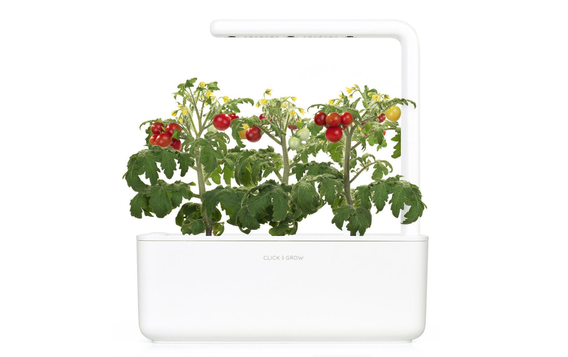 Kräutertopf Smart Garden 3 GrauZüchten Sie Küchenkräuter und andere Pflanzen bequem in der eigenen Wohnung