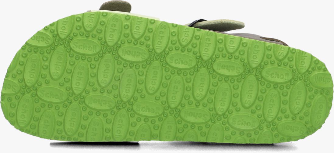 SCHOLL groene scholl sandalen shark