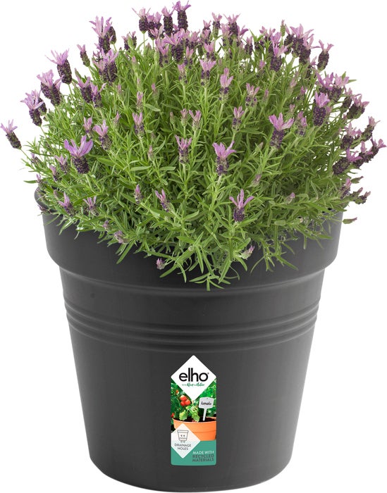 Elho kweekbak Green Basics zwart D 35 H 32,2 cm