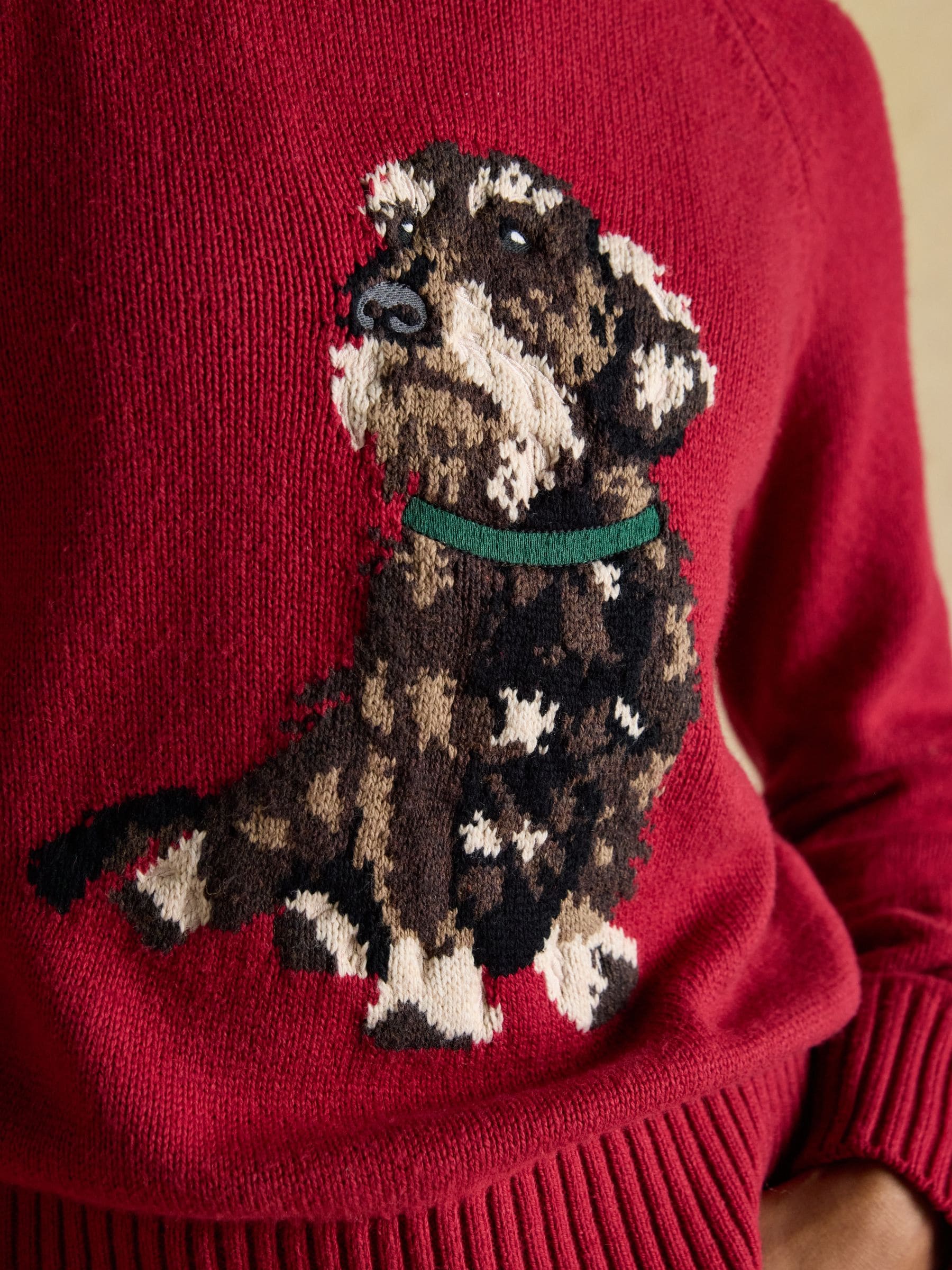 Joules Intarsia trui van katoenmix met regular fit