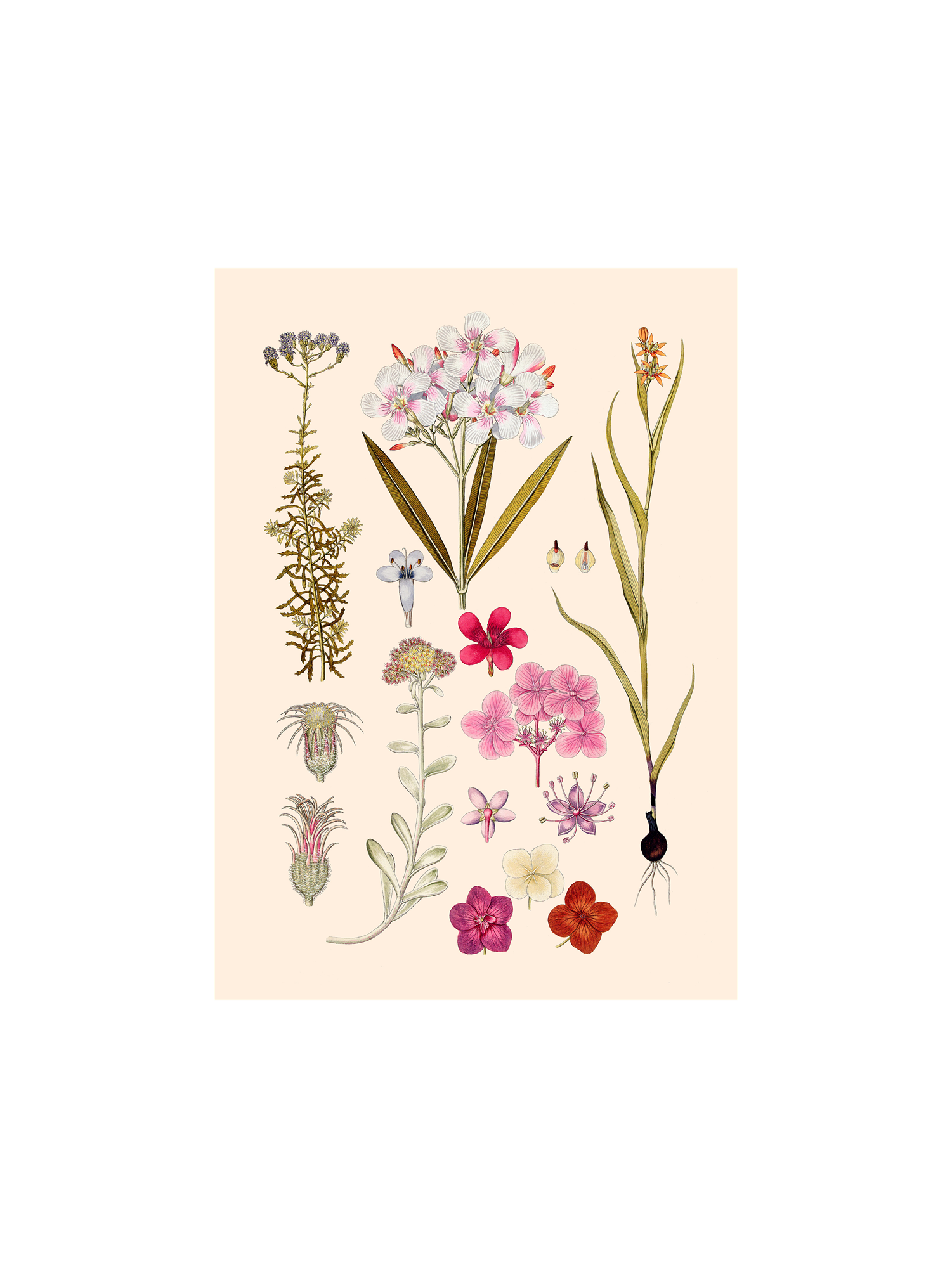 Plakat A3 | Papir. 29,7 x 42 cm.  | Multi | The Dybdahl Co.