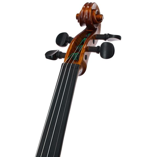 Gewa Georg Walther Violin GY