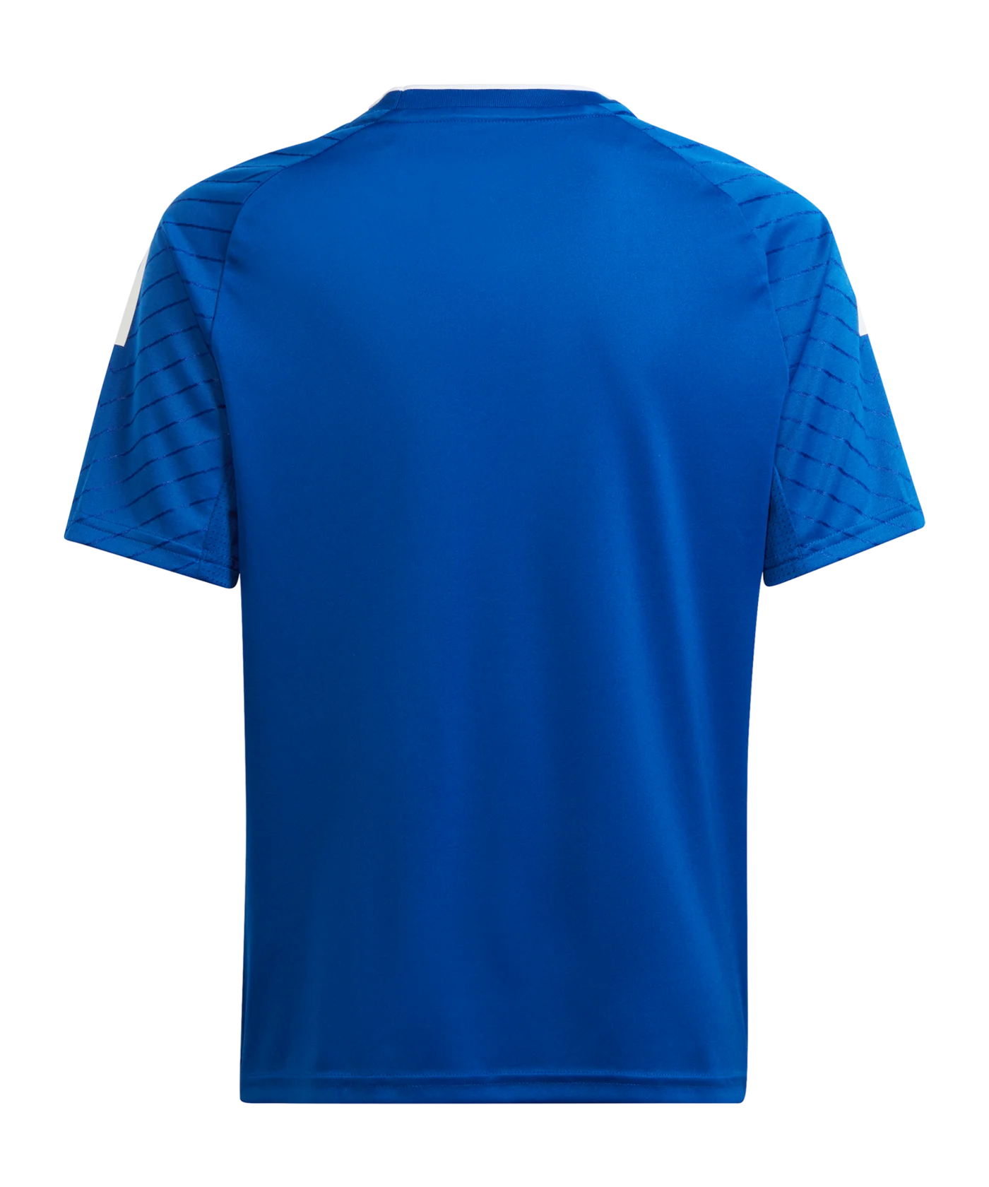 adidas Campeon 23 Trikot Blau