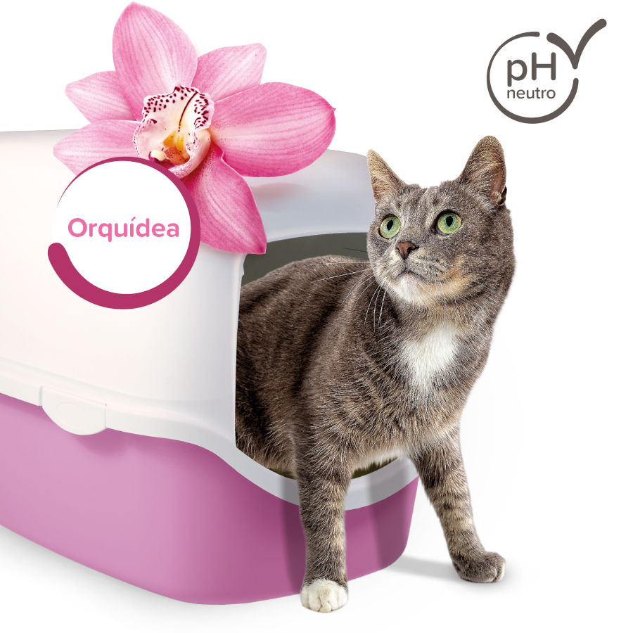 Beaphar Multi Fresh Orchid Neutralizer para Gatos