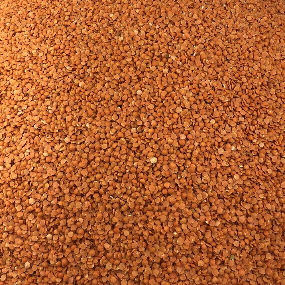 Lentille Corail Bio en Vrac 1kg Vrac Bio
