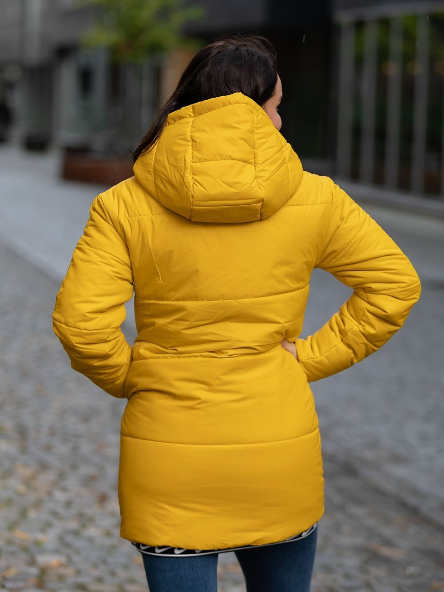 Sportswear Syntetic Filled Parka