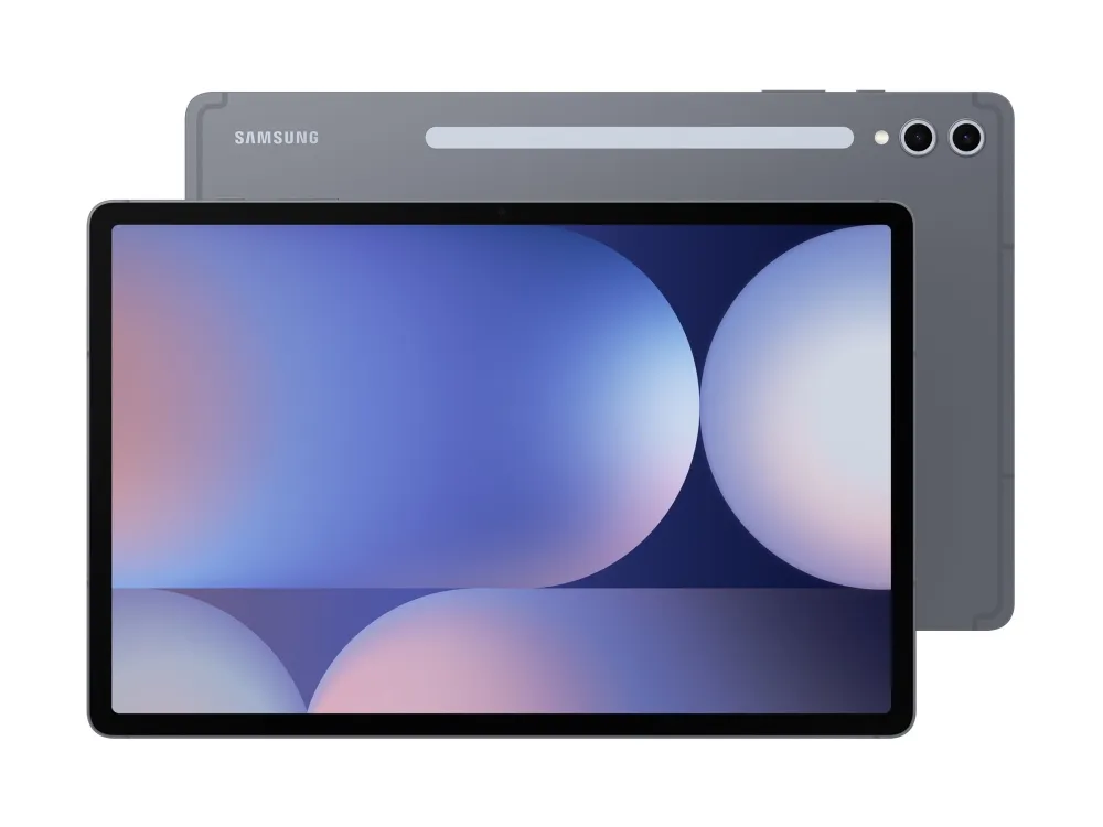 Samsung | Galaxy Tab S10  WIFI 256GB/12GB - Moonstone Gray