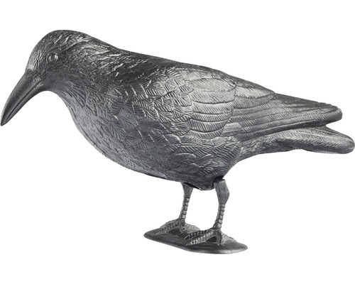 Vogelverschrikker Windhager Raaf H 37 cm zwart