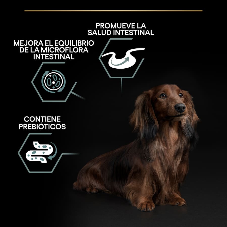 Pro Plan Adult Small and Mini Digestion Lamb Dog Food