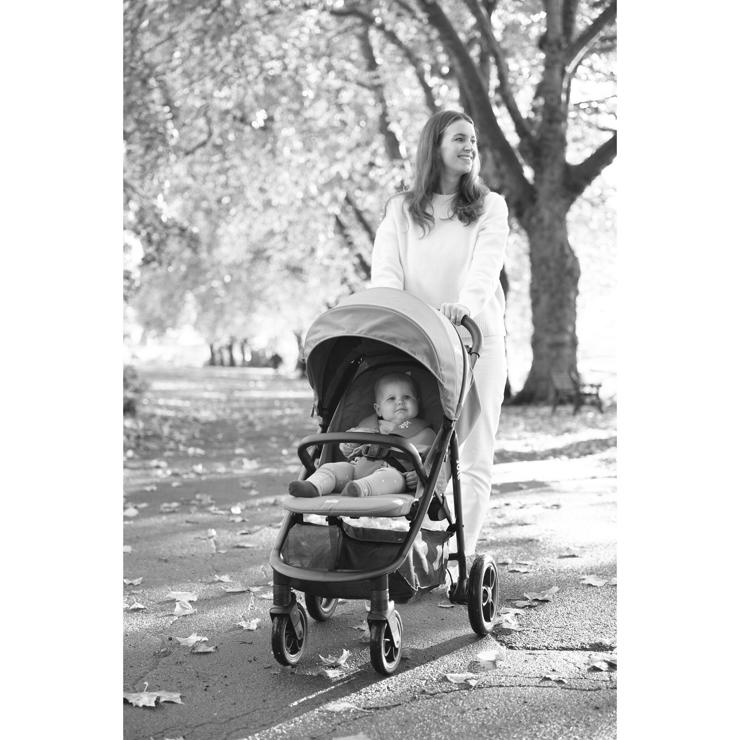 Joie Sportwagen Litetrax Pro laurel