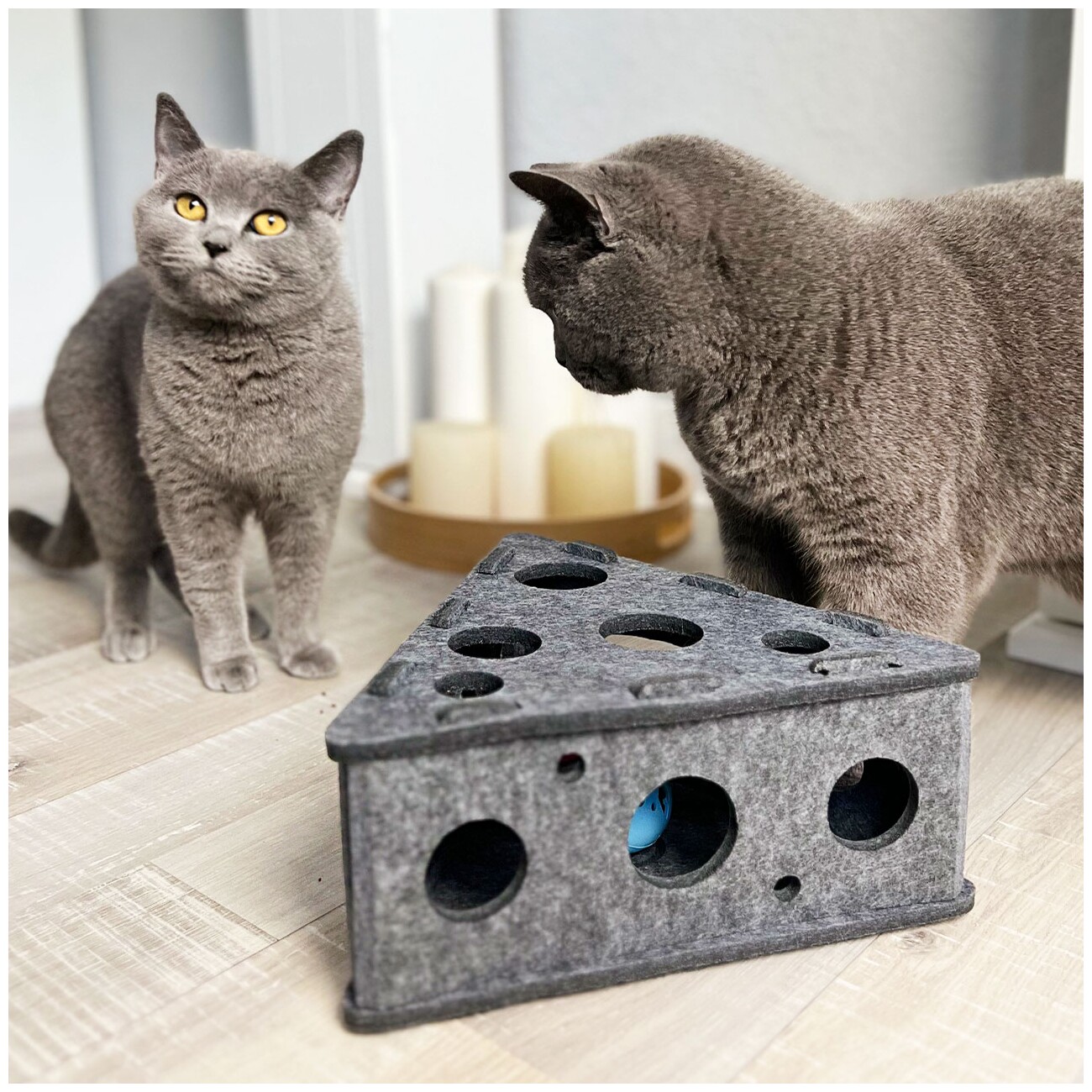 Canadian Cat Company Intelligenzspielzeug Käsekästchen