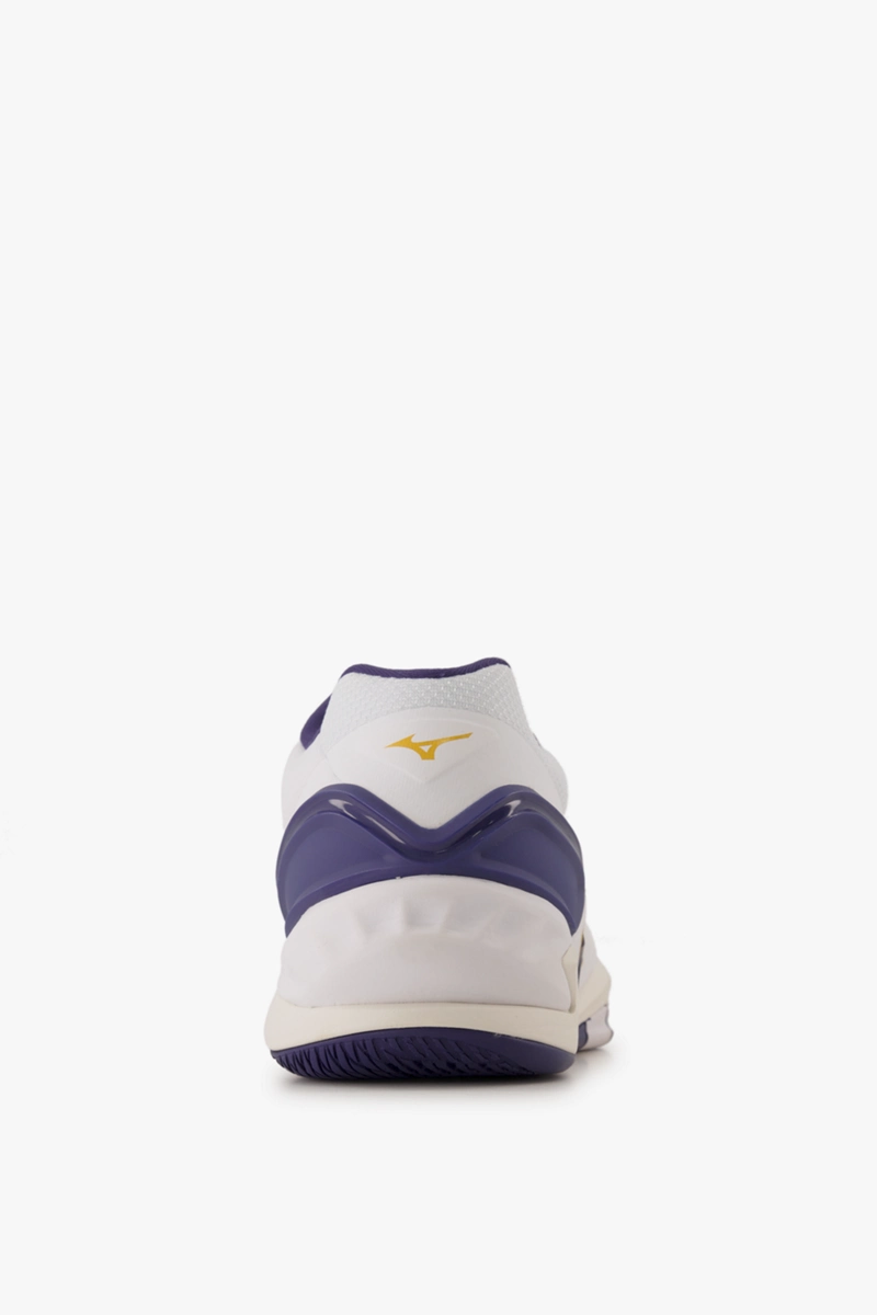 Mizuno Wave Stealth Neo Herren Hallenschuh