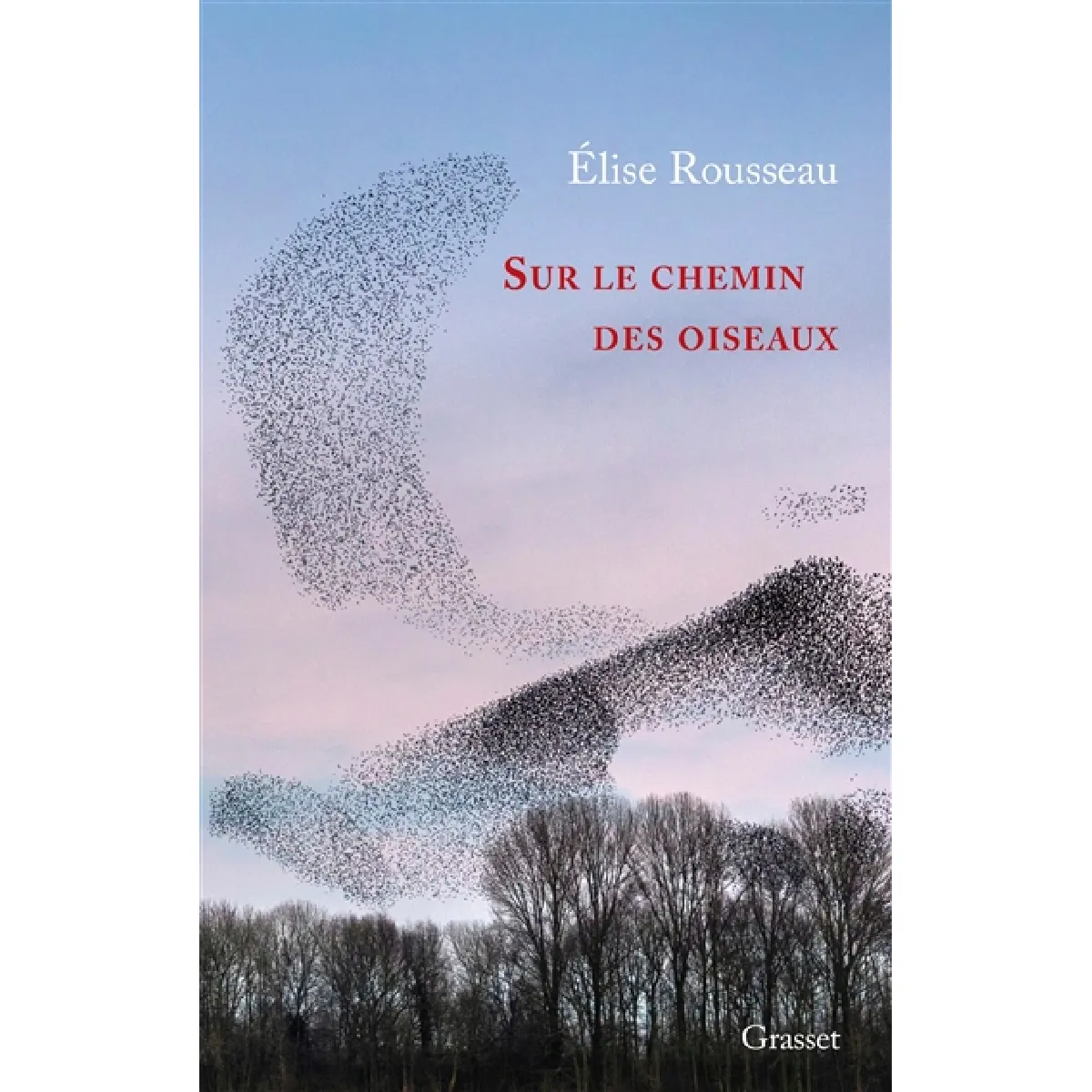 Sur le chemin des oiseaux · Occasion
