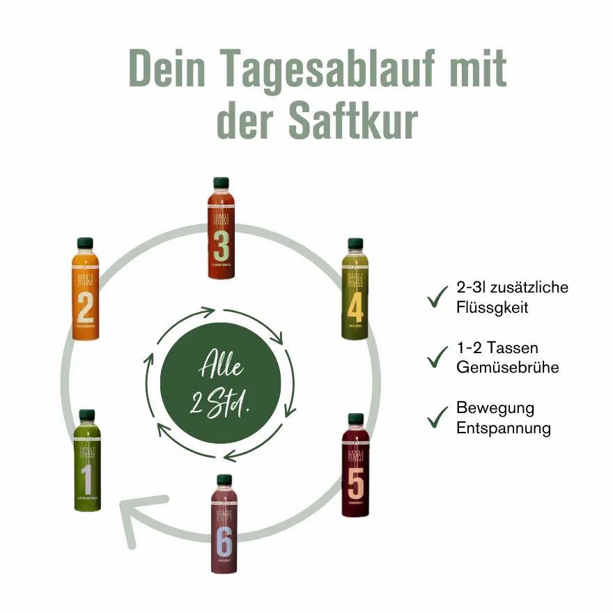 7-Tage Gemüse Saftkur (inkl. 10,50€ Pfand)