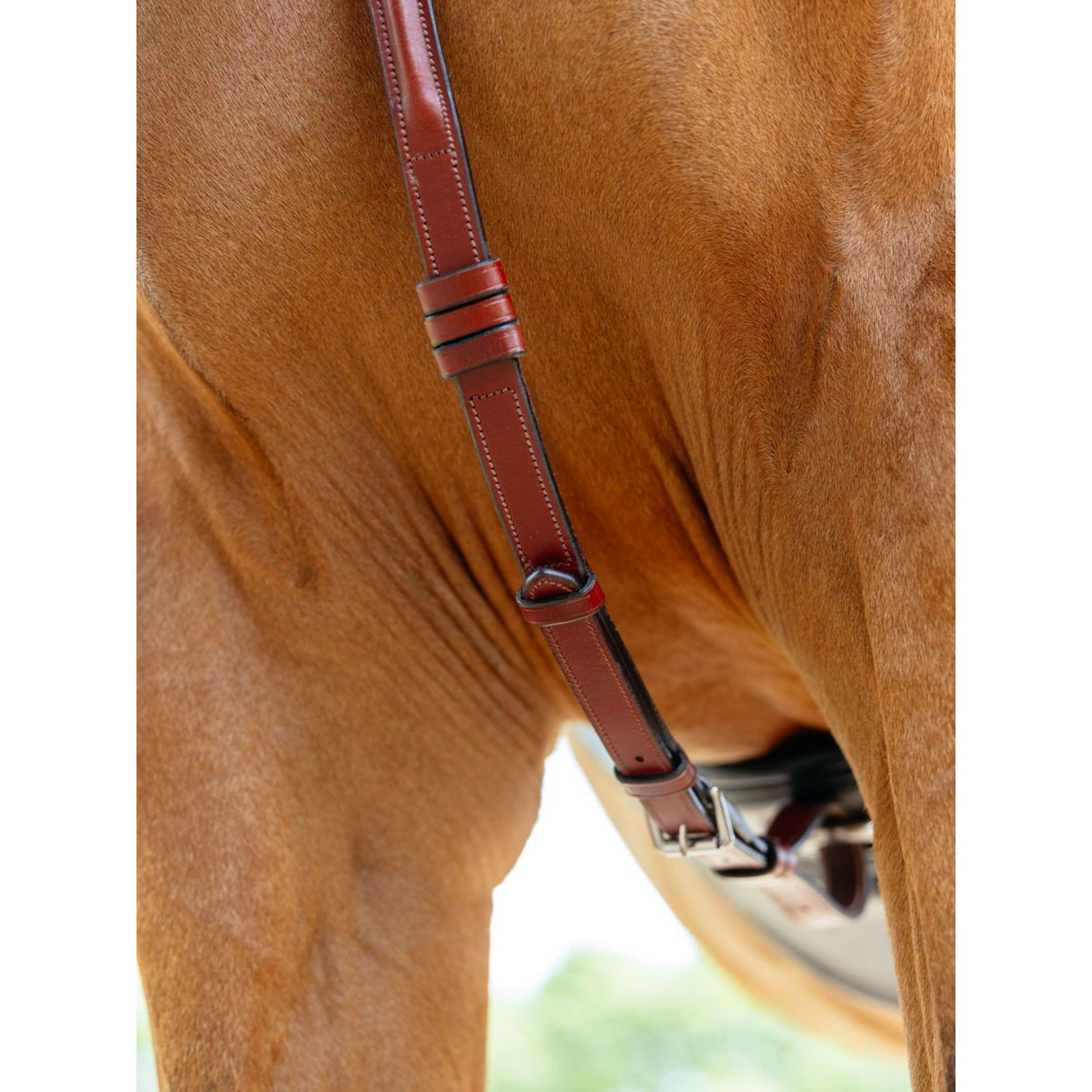 LeMieux Borsttuig D-Ring Attachment Chestnut