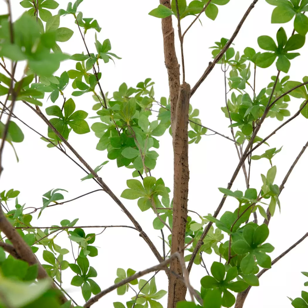Kunstpflanze Enkianthus